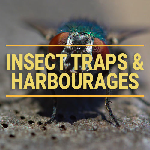 Insect Traps & Harbourages