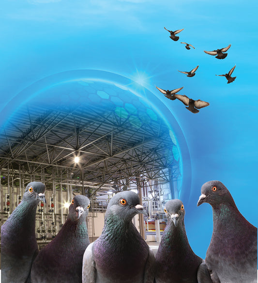 SYMTERRA PULSE BY AVITHOR - Innovative Bird Control