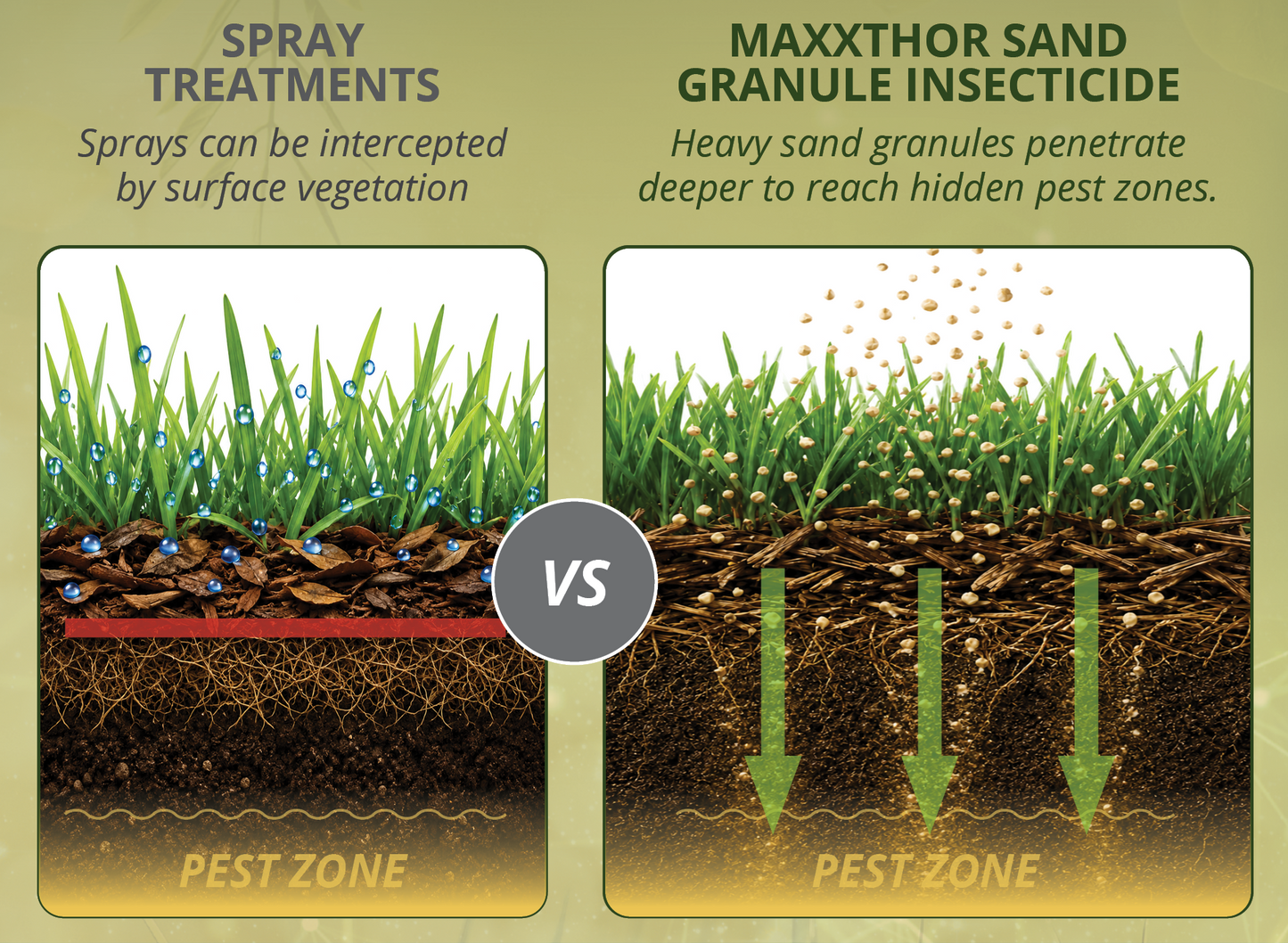 MAXXTHOR SAND Granule Insecticide