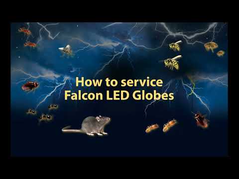 Servicing LED Globes