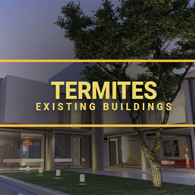 Termites Existing Buildings