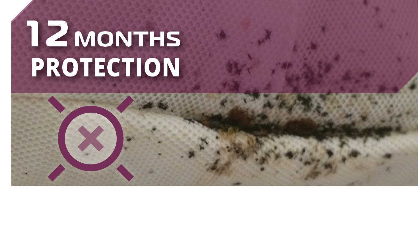 DIATHOR Lethal Bed Bug Harbourage