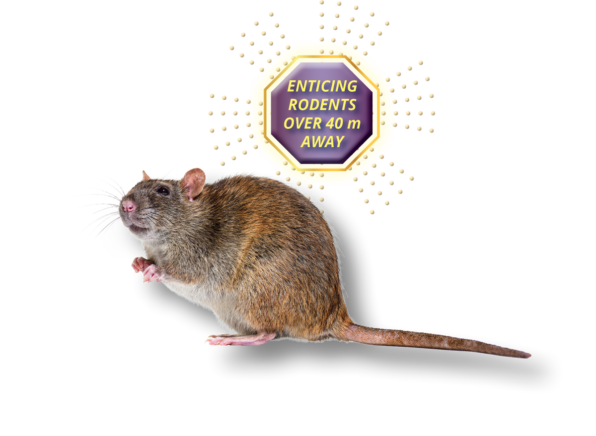 Rodenthor Beta RODENTHOR ENTICE SPRAY - Peanut – Ensystex.com.au