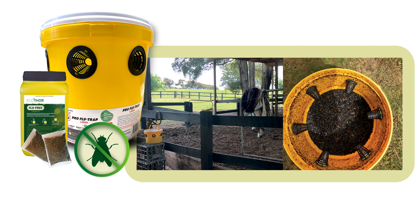 ECOTHOR ACTIVE NATURE® Fly-Free Trap