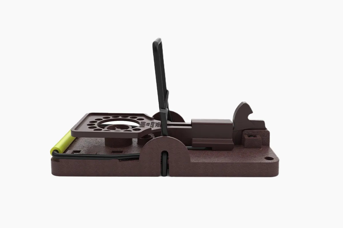 GORILLA MOUSE TRAPS