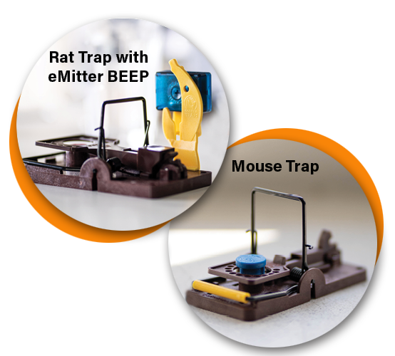 GORILLA MOUSE TRAPS